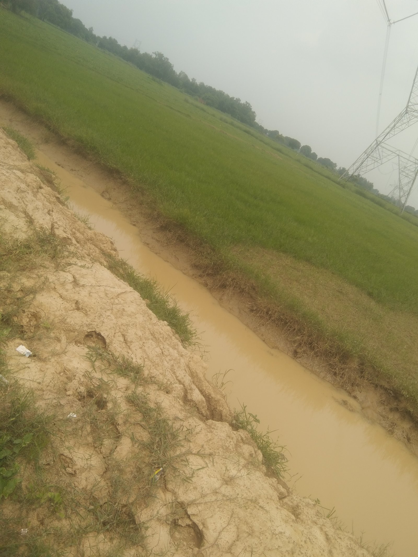 मानपुर-नेवती रोड निर्माण कार्य में देरी से ग्रामीण परेशान