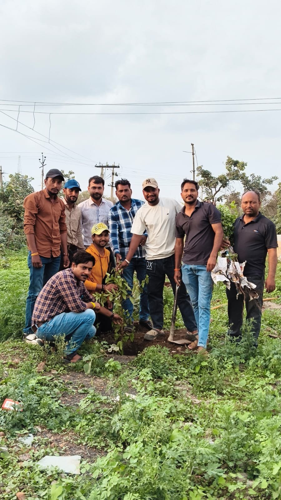 आलोट में विद्युत वितरण कंपनी कार्यालय परिसर में हुआ वृक्षारोपण, पर्यावरण संरक्षण का दिया संदेश