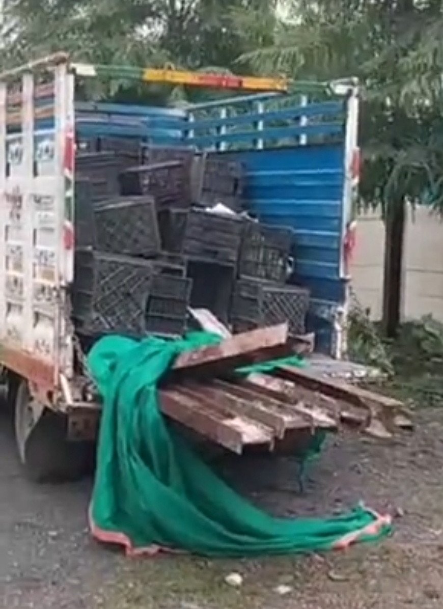 ब्यावरा में सरकारी गार्डर चोरी का बड़ा खुलासा! CMO ने खुद पीछा कर पकड़ी पिकअप, कर्मचारी बर्खास्त