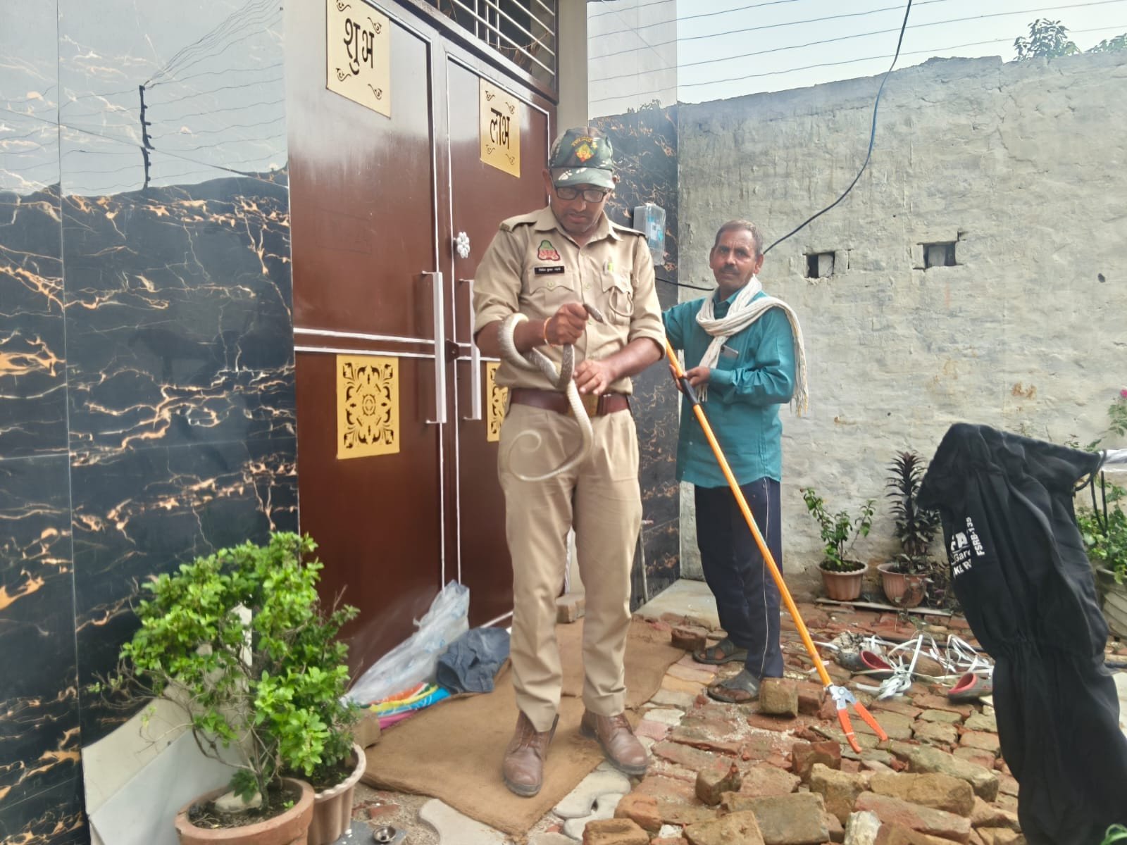 हस्तिनापुर की डिफेंस कॉलोनी में शनिवार को मकान में निकला सांप, वन विभाग की टीम ने पकड़कर जंगल में छोड़ा