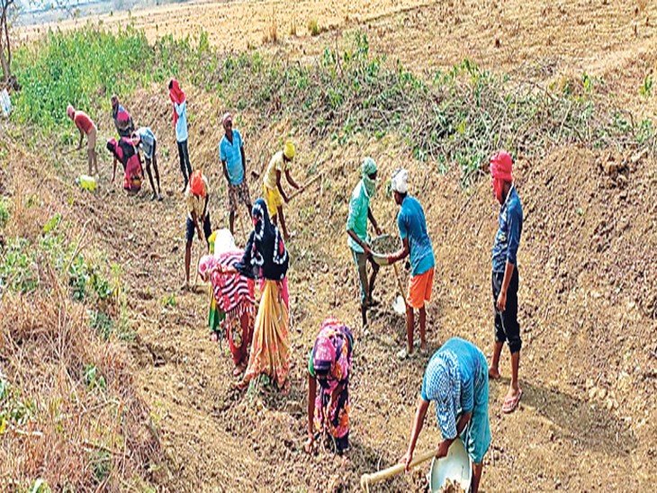 रामपुर में मनरेगा ने पकड़ी रफ्तार, लक्ष्य से 24% ज्यादा रोजगार