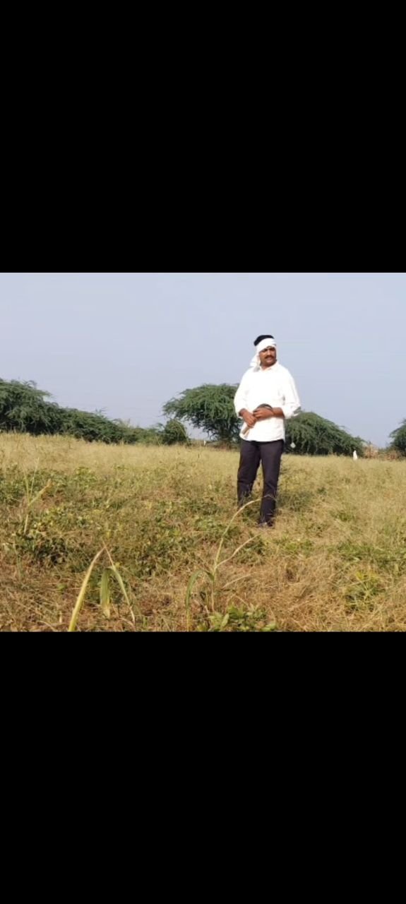 _नवरात्रि बीत गई और दिवाली नजदीक है, लेकिन सूखे जैसी स्थिति में गुजरात के किसान के लिए यह दिवाली नहीं है : रमेश मेर AAP_